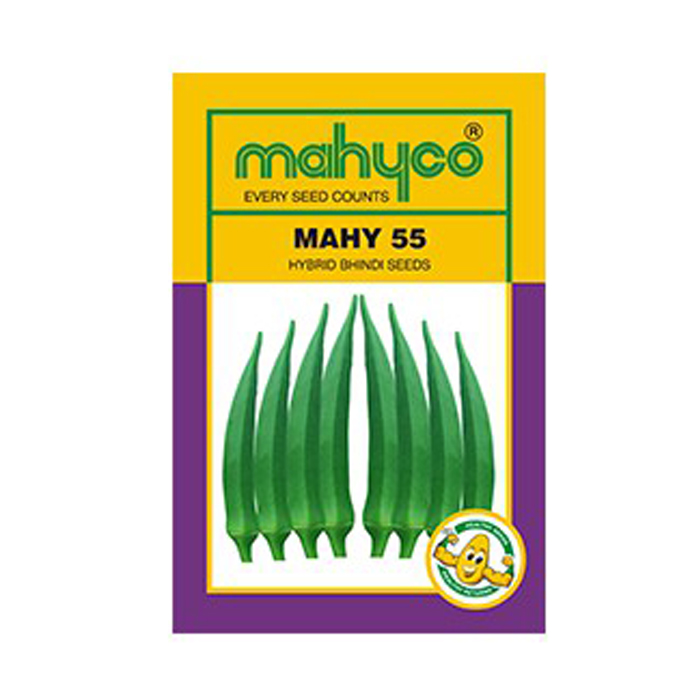 MAHY 55 Bhindi Seed Mahyco