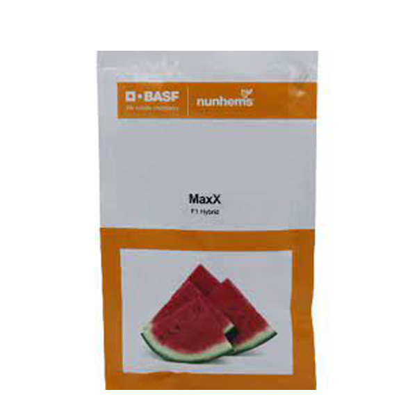 BASF Nunhems Maxx Watermelon Seeds