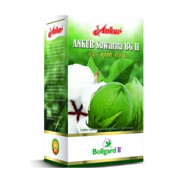 Ankur Suwarna BG-II Cotton Seed Ankur