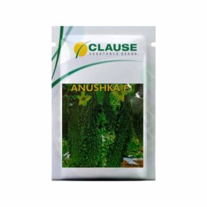 Order vegetable seeds online – Green bell pepper seeds