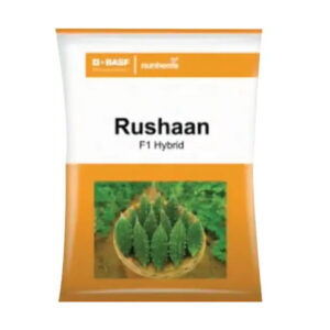 Order vegetable seeds online – Pack of cucumber seeds