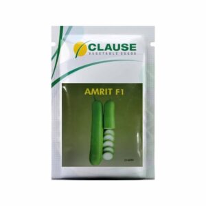 Amrit Bottle Guard Seeds Clouse