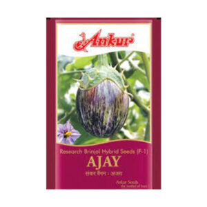 Order vegetable seeds online – Zucchini seeds for your garden