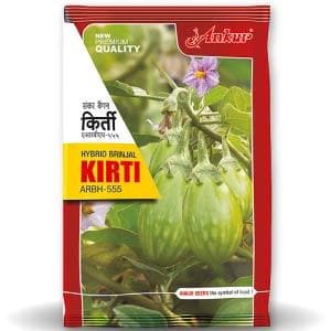 KIRTI Brinjal Seed Ankur