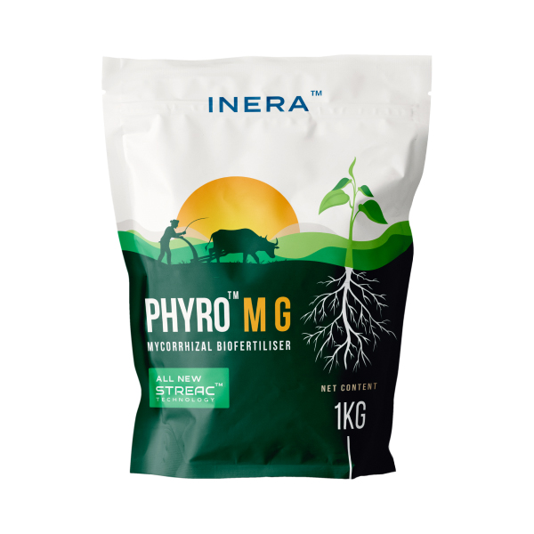 PHYRO MG INERA ag