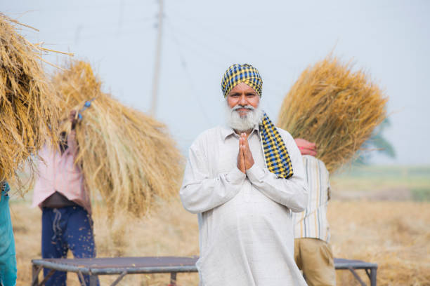 The top plant growth hormones predicted for 2025, as seen by farmers engaged in fieldwork