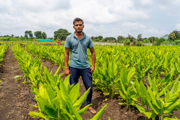 The plant growth hormones projected for 2025 are likely to produce favorable results, resulting in contentment among farmers