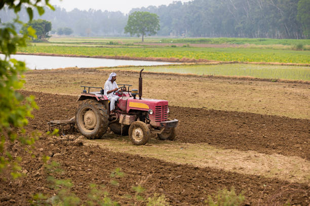 Premier plant growth hormones forecasted for 2025, The Field Team and the Farmers Gallery