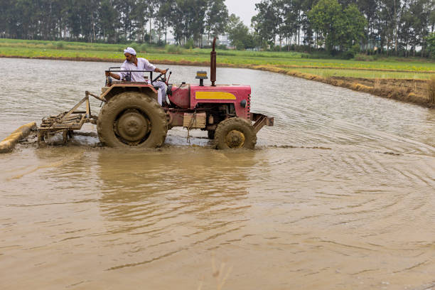 The plant growth hormones projected likely to produce favorable results, resulting, The Field Team and the Farmers Gallery