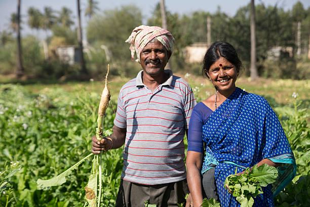 The most promising plant growth hormones expected to emerge as observed by farmers in the field, The Field Team and the Farmers Gallery